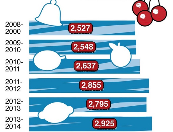 Average Number of Gaming Machines